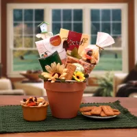 Just Because Gift Baskets