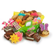 Special Delivery Truck