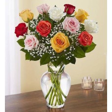 Rose Elegance Premium Long Stem Assorted Roses (12 Stems Assorted) Rose Elegance Premium Long Stem Assorted Roses (12 Stems Assorted)