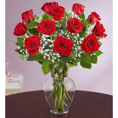Rose Elegance Premium Long Stem Red Roses (12 Stems)