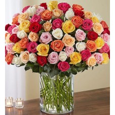 100 Premium Long Stem Assorted Roses 100 Premium Long Stem Assorted Roses