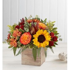 Harvest Glow™ Bouquet (Large) Harvest Glow™ Bouquet (Large)