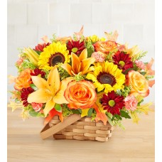 Fields of Europe® for Fall Basket (Large)
