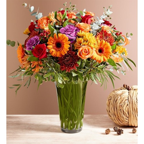 Garden of Grandeur® for Fall (Medium)