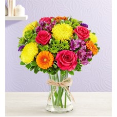 Fields of EuropeÂ® Celebration (Extra Large)