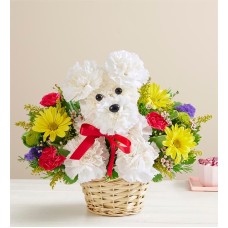 a-DOG-able® in a Basket a-DOG-able® in a Basket