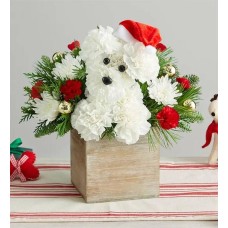 Santa Paws®