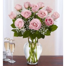 Rose Elegance Premium Long Stem Pink Roses (12 Stems Pink) Rose Elegance Premium Long Stem Pink Roses (12 Stems Pink)