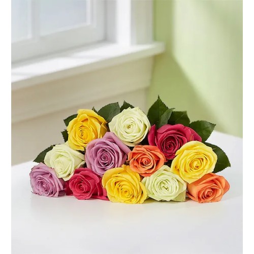 One Dozen Assorted Roses (Bouquet Only)