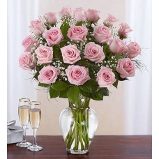Ultimate Elegance  Premium Long Stem Pink Roses (48 Stems Pink)