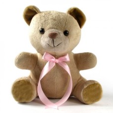 Plush Bear