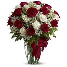 Love's Divine Bouquet - Long Stemmed Roses (Deluxe) Love's Divine Bouquet - Long Stemmed Roses (Deluxe)