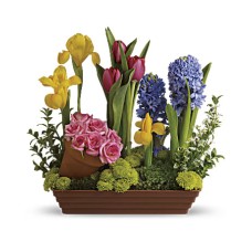 Spring Favorites (Deluxe)