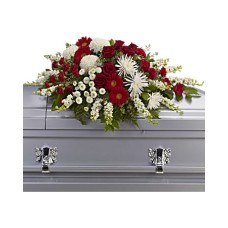 Strength and Wisdom Casket Spray