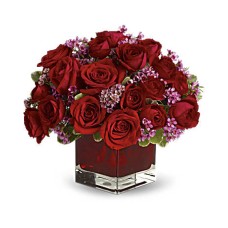 Never Let Go by - 18 Red Roses (Deluxe) Never Let Go by - 18 Red Roses (Deluxe)