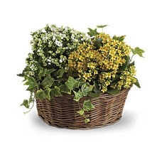 Basket of Joy