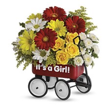 Baby's Wow Wagon by  - Girl (Deluxe)