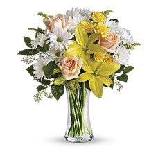 Daisies and Sunbeams (Deluxe)