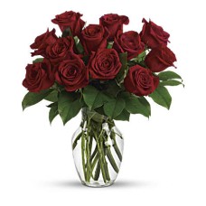 Enduring Passion - 12 Red Roses (Deluxe)