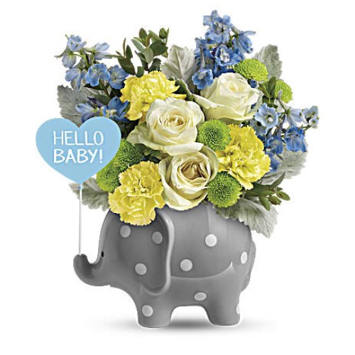 Hello Sweet Baby - Blue (Premium)