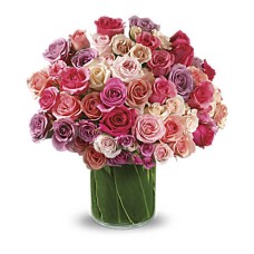 Rose Rapture (Premium)