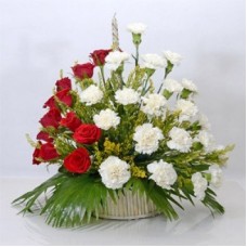 Cute Arrangement (As Shown)