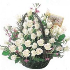 Purity Of White (As Shown)