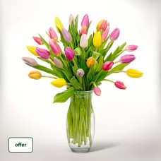 Tulips in a bunch - 30