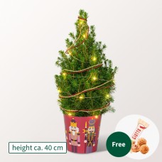 X-Mas Tree WeihnachtsmÃ¤rchen with X-Mas lights with 3 Ferrero Giotto