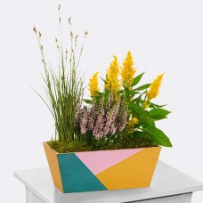 Arrangement Herbstfestival