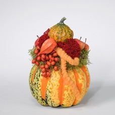 Arrangement Kurbiszauber