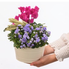 Arrangement Gartengluck