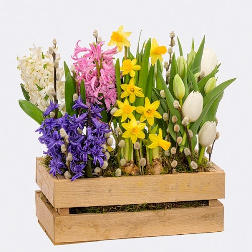 Colourful Mix in wooden box