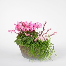 Spring Mix