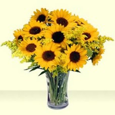 10 Sun Flowers