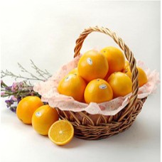 Orange basket