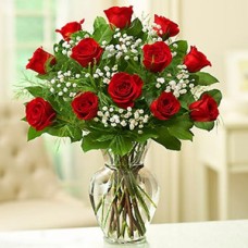 Warm Memory (24 roses)