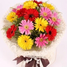 Colorful (As shown)