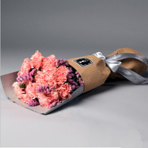 Carnations love