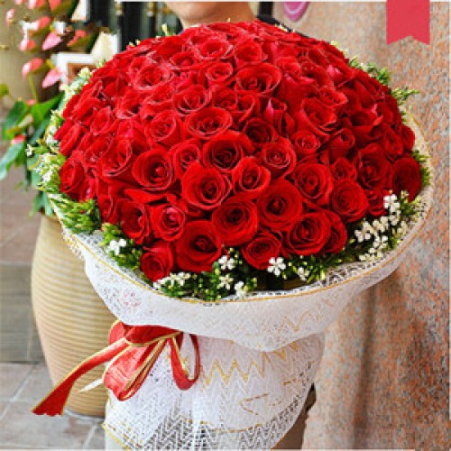 New heart beat (66 roses)