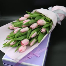 tulip in box