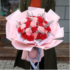red and pink carnations (12 red + 12 pink carnations)