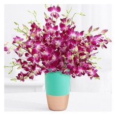 Relaxing Orchid (Basic)
