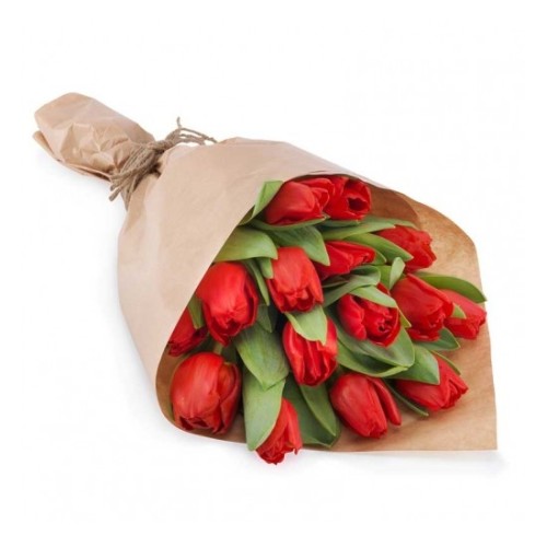 Tulip Temptation (Basic)