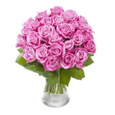 Roses of Plenty (Basic)
