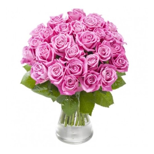 Roses of Plenty (Basic)