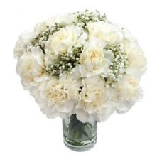 Simple White Carnation (Basic)