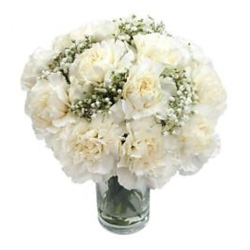 Simple White Carnation (Basic)