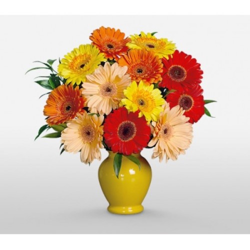 Sunshine Fresh Delight (Basic)