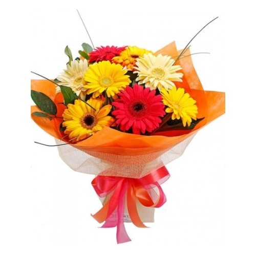 Bright Gerbera Bouquet (Basic)
